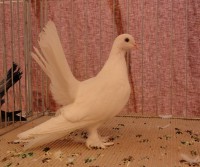 /album/fotogaleria/dsc08363-jpg/